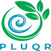 PLUQR Oliebollen